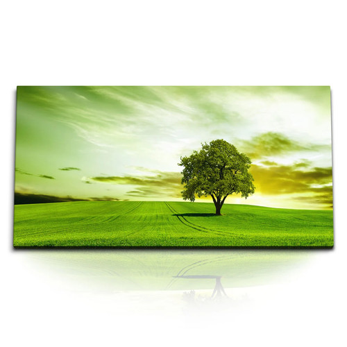 Quadri stampa artistica 120x80