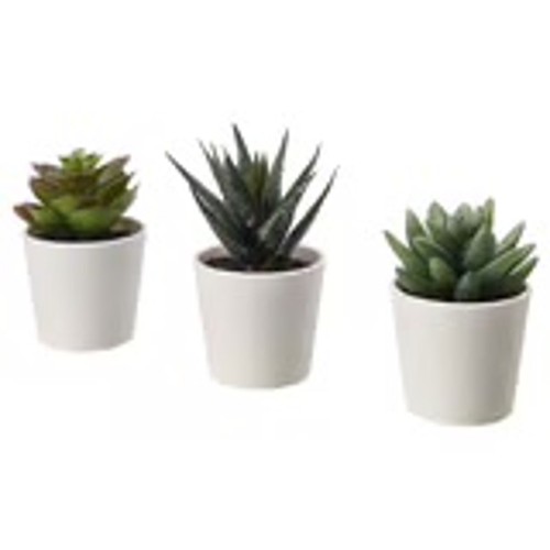 Fejka succulente artificiali - fejka,
