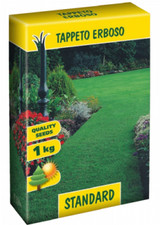 MISCUGLIO SEME PRATO CRESCITA RAPIDA STANDARD CONTINENTAL SEMENCES