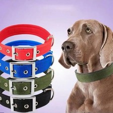 Nylon Dog Collar For Small