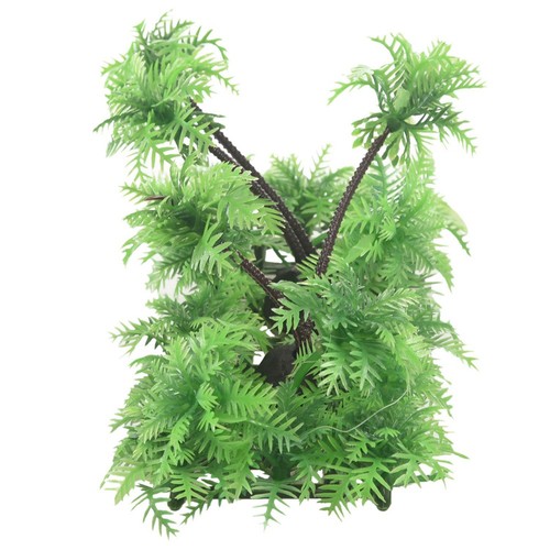 Pianta palma da cocco - di,