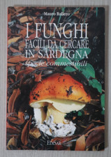 Funghi facili da cercare in