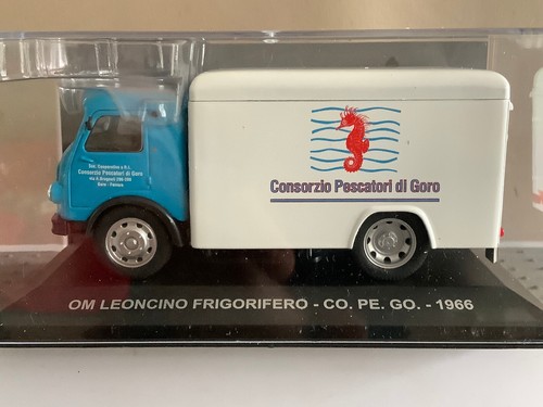 Ixo om leoncino - ✅ixo,