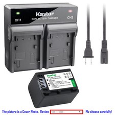 NP-FV70 Battery or Rapid