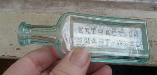 Doctor pierce estratto - estratto, di