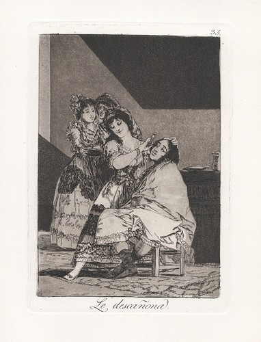 Francisco goya piatto da - goya, 35