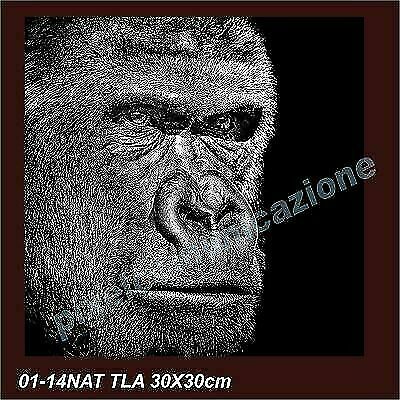 Quadro moderno tela 30x30 - quadro,