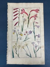 Botanical, Dr. David Dietrich