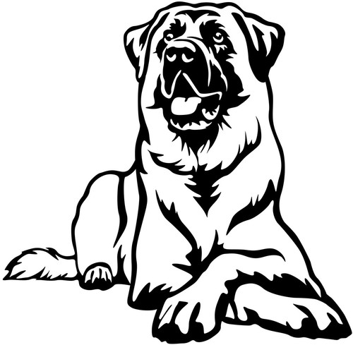 Adesivo cangal cane pastore - cangal,