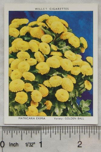 1939 wills garden flowers new - 1939,