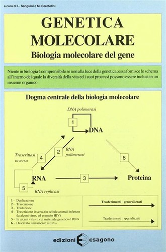 Genetica molecolare biologia - genetica, molecolare.