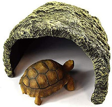 Rettile Evasione Foro