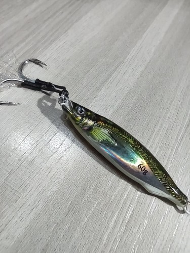 Metal jig jigging 60g stampa - jig,