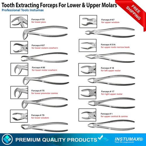 Pinza estrazione denti per - pinza,