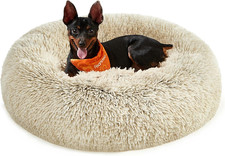 Cuccia cane interno - cane,