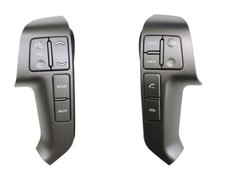 Audio & Auto Cruise Switch Kit