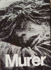 MARCHIORI - Monumenti di Murer