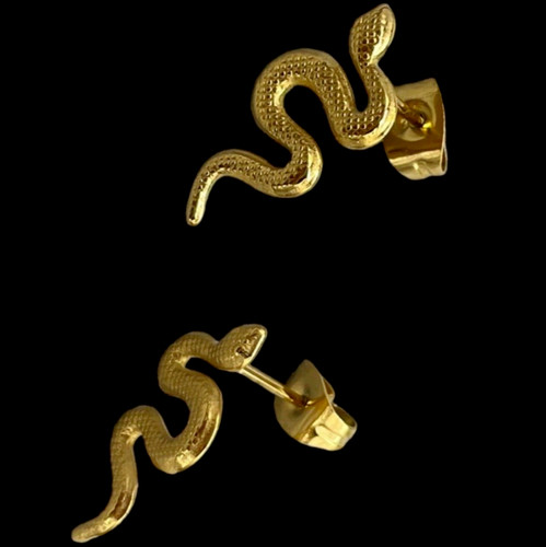 Orecchini bottone serpente - bottone,