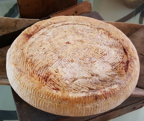 Formaggio pecorino umbro - formaggio,