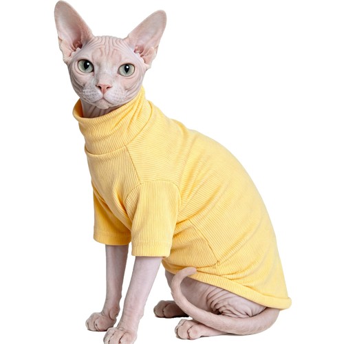 Sphynx cats clothes hairless - sphynx,