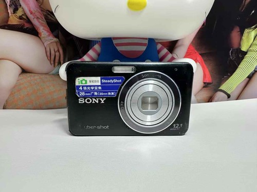 Sony cyber shot dsc - dsc-w310, 12,1