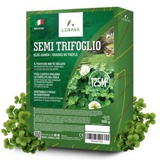 ® Trifoglio Nano semi prato