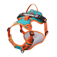 I Pettorina Regolabile per Cani Nylon Riflettente Traspirante Con Nome PerCani