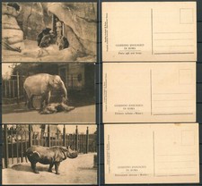 Roma Giardino Zoologico - 3 cartoline nuove differenti orso elefante rinoceronte