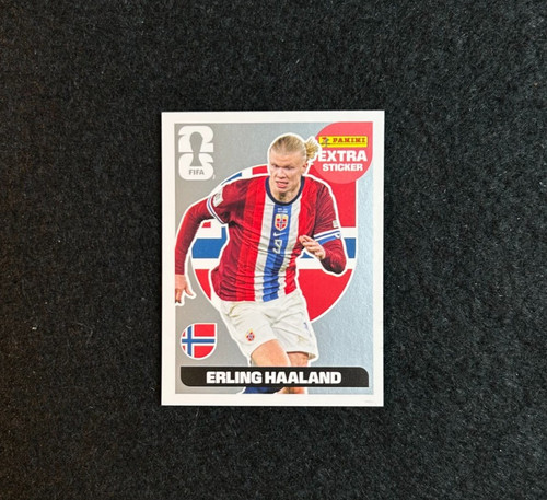 2026 panini world cup - panini, erling