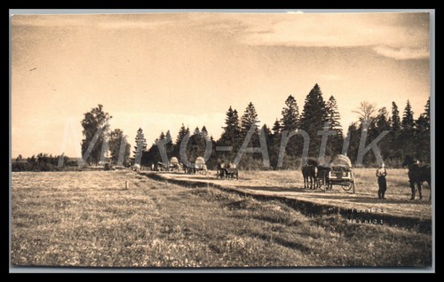 Foto ww2 campagna - di, russia