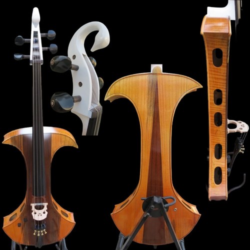 Canzone maestro violoncello - canzone,
