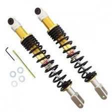 Ammortizzatore stereo a molla