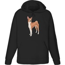 Felpa con cappuccio / felpa