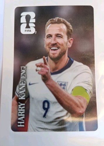 Panini fifa world cup - world,
