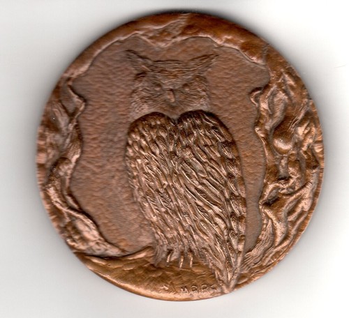 Medaglia gufo - medaglia,