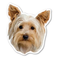 Yorkshire Terrier Magnet