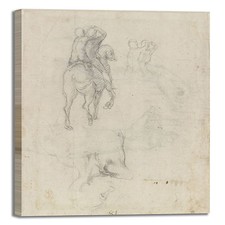 Michelangelo studi cavallo
