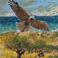 Serigrafia Pino Cappugi