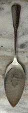 Server-Pie/Solid-Pierced First