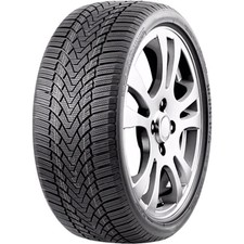 Gomme Invernali Roadmarch