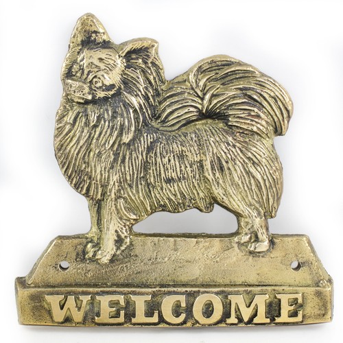 Art dog cane chihuahua - chihuahua, pelo