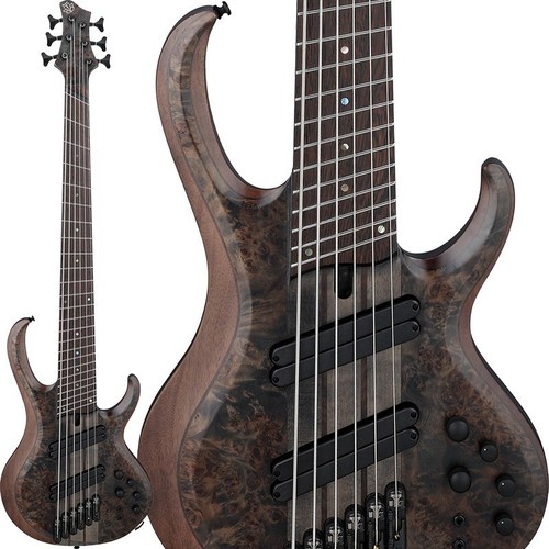 Ibanez bass workshop - bass,