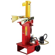 Spaccalegna Elettrico Hp 3 T 8