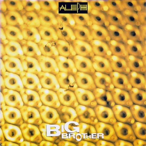 Aleph big brother i - brother, /