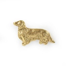 Dachshund Rauhhaar, Bassotto
