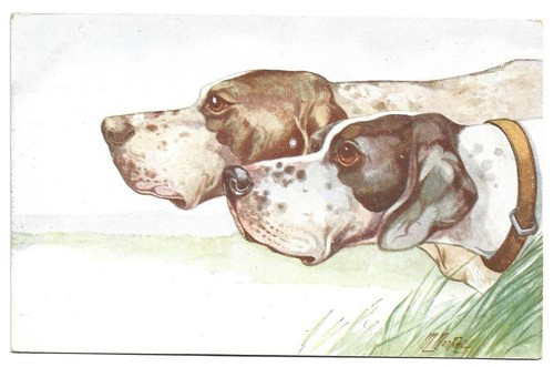 Antica cartolina animali cani - animali:,