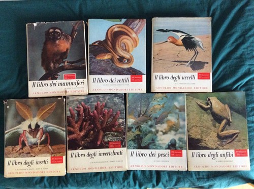 Mondo della natura completa - mondo,