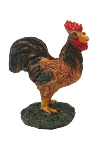Gallo per pastori alti - per,