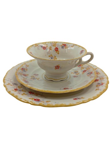 Altenburg tazza piattino set - altenburg,