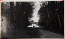 Stampa Foto Analogica Foto